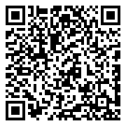 勇闯女儿国-0.05折九州买断版